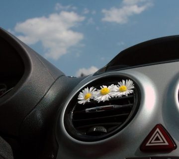 car ozone treatment