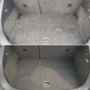 interior pet hair removal