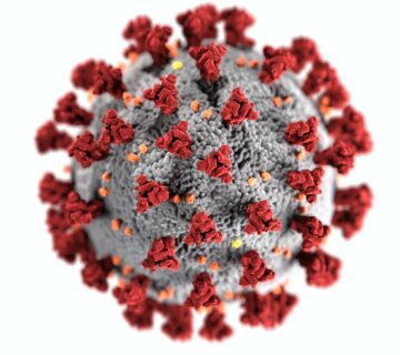 A look at the coronavirus upclose