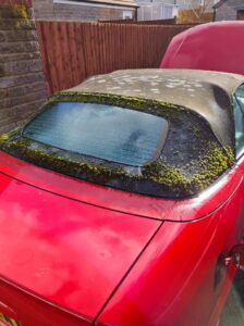the top of a convertable hood cvovered in mould