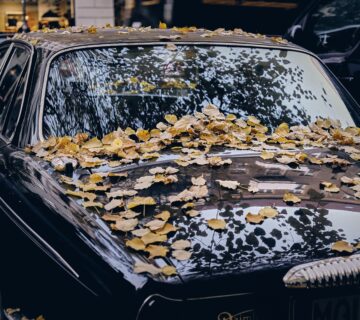 Wet black car covered in yellow autumn leaves
