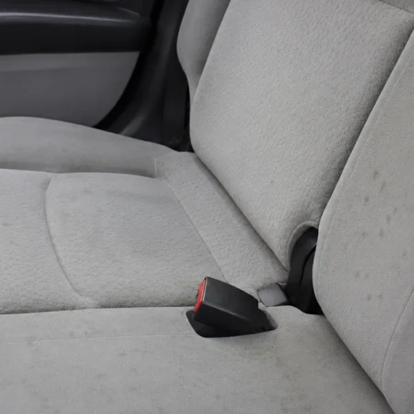 Will Mobile Valeting Remove Mould from My Upholstery?
